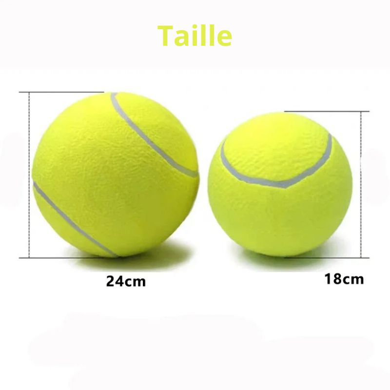 Balle pour chien 2 tailles