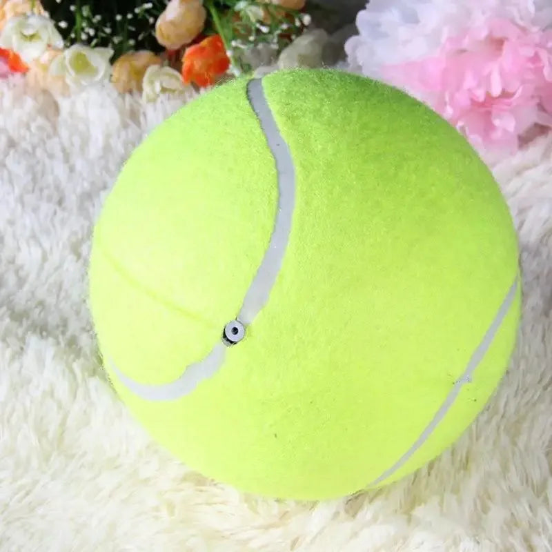 Balle pour chien produit durable