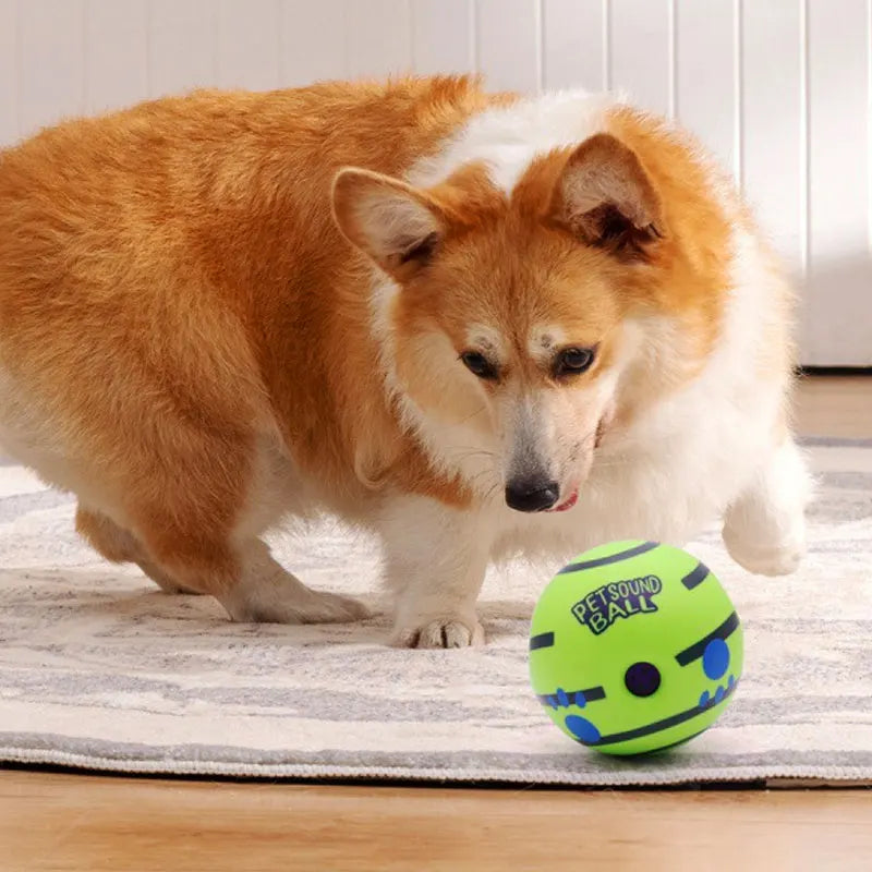 Balle pour chien produit