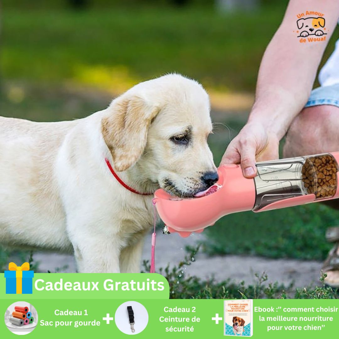 GOURDE POUR CHIEN | WalkingBottleâą