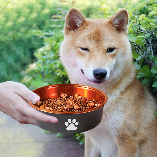 Gamelle chien marron