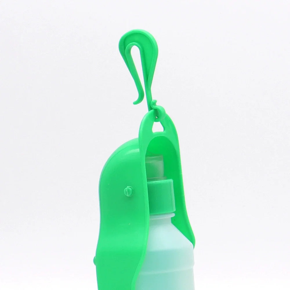 Gourde pour chien vert attache