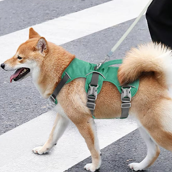 Harnais pour chien vert léger