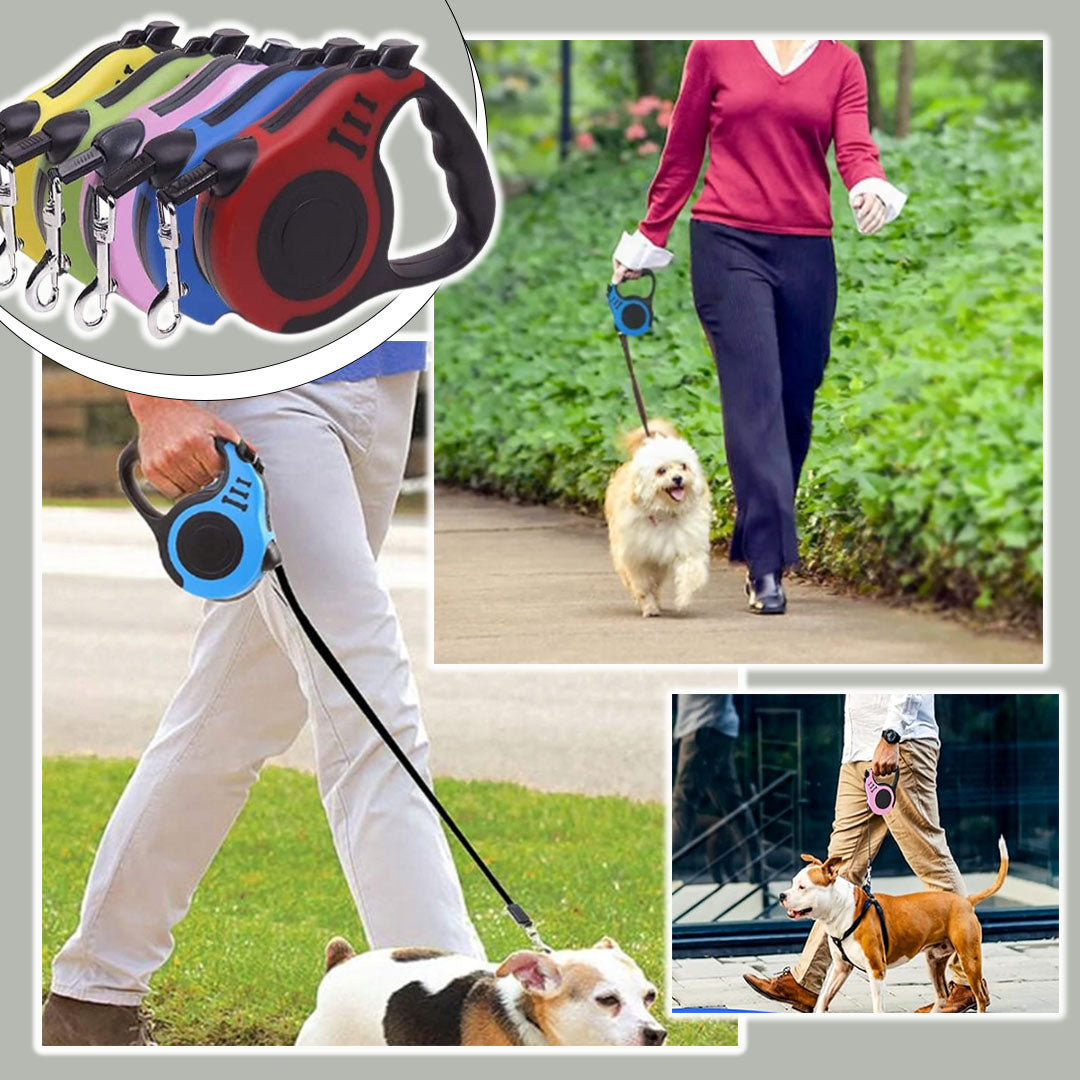 Laisse Chien 3M - 5M Easyleash™