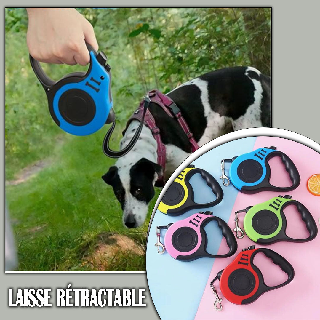 Laisse Chien 3M - 5M Easyleash™