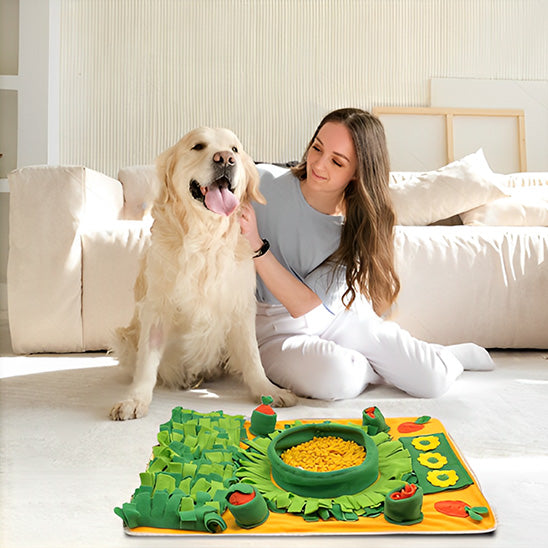 Tapis de fouille chien facile durable orange