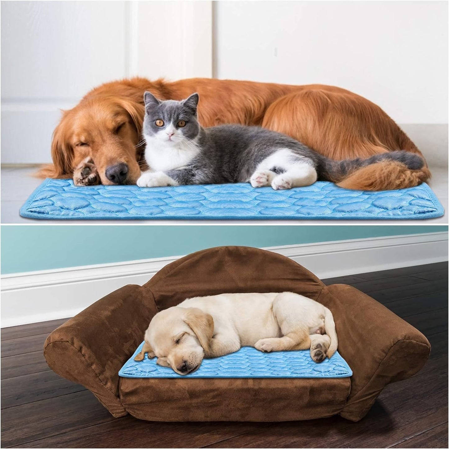 Tapis Rafraichissant chienâą | DogCooling