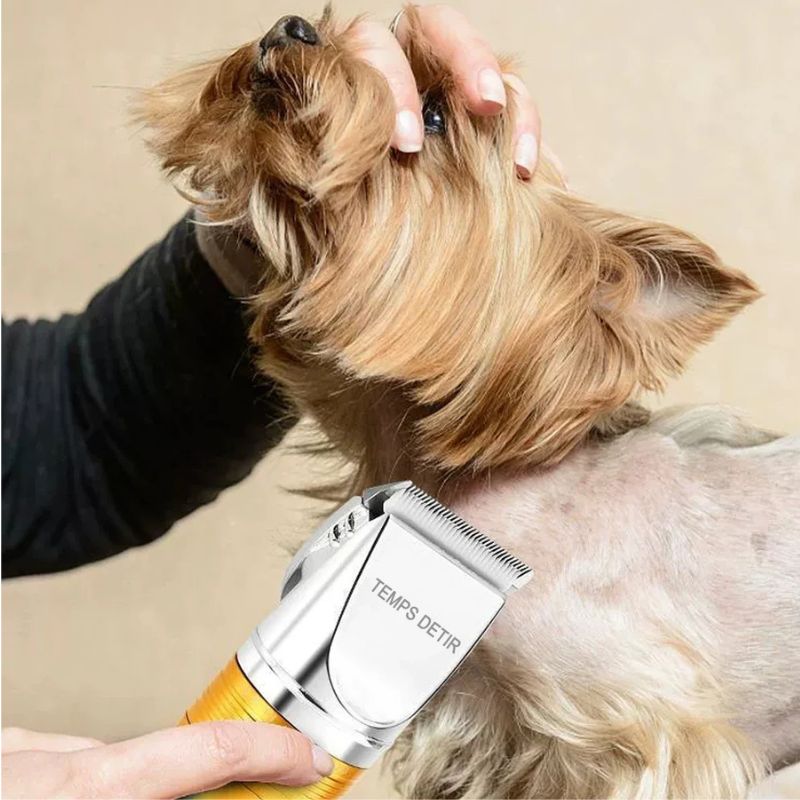Tondeuse-pour-chien-Professionnelle-dorée-douce