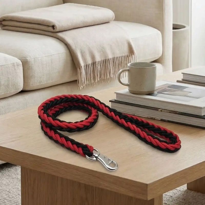 laisse pour chien rouge noir solide
