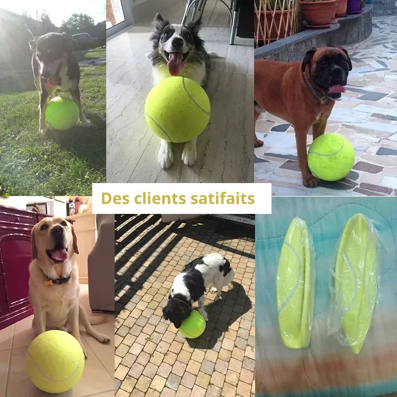 Balle pour chien client
