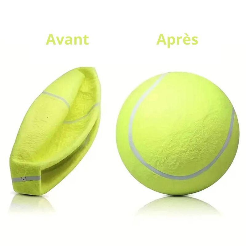 Balle pour chien emballage