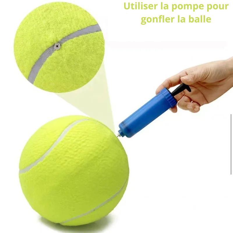 Balle pour chien gonflage