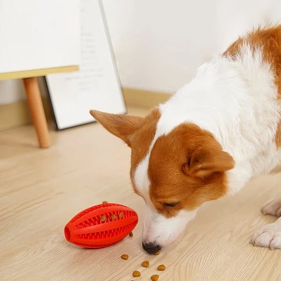 Balle pour chien intérieur design