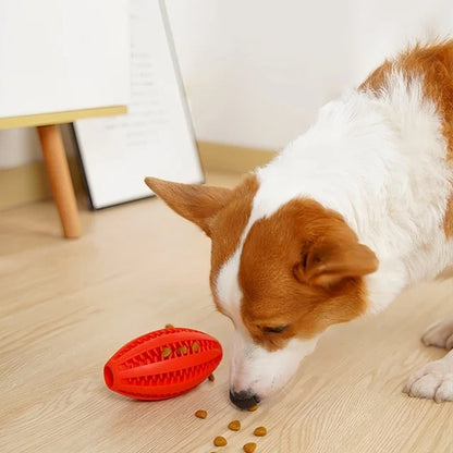 Balle pour chien intérieur design