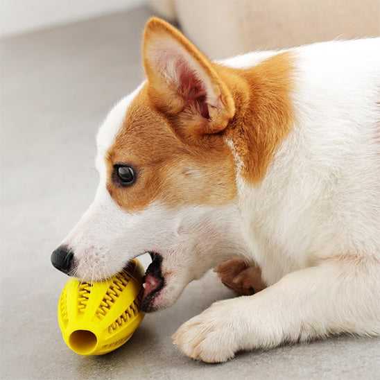 Balle pour chien jaune solide