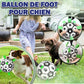 Ballon avec anse de maintien | MagicBall™