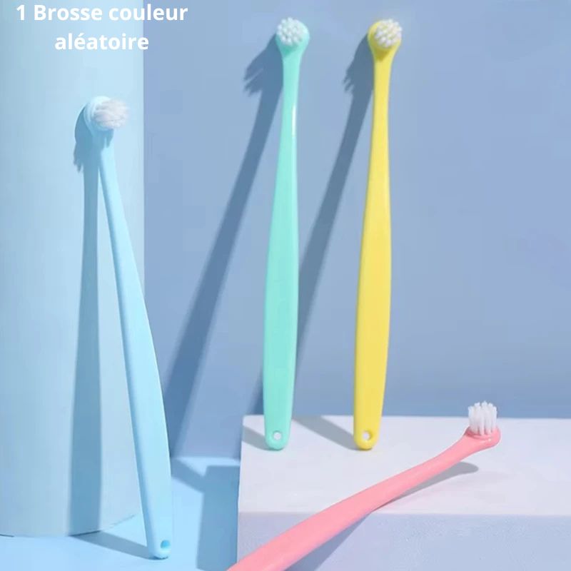 Brosse a dent chien 1