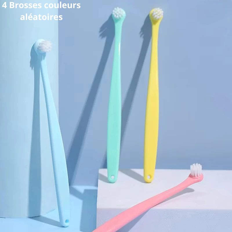 Brosse a dent chien 4