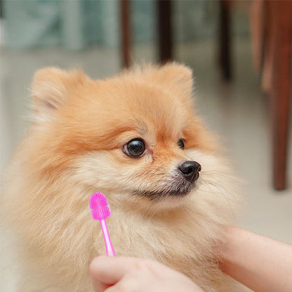 Brosse a dent chien douce durable