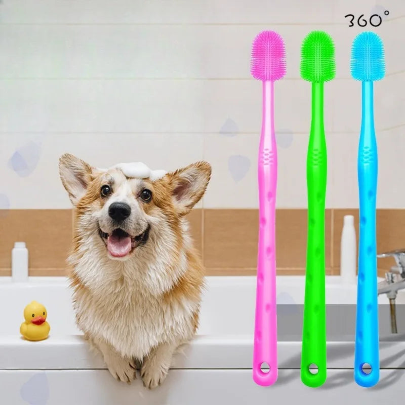 Brosse a dent chien multicouleur