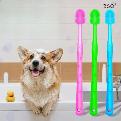 Brosse a dent chien multicouleur