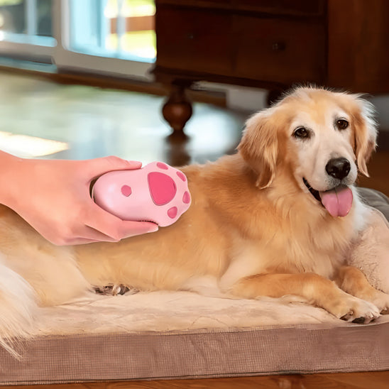 Brosse chien rose compagnon