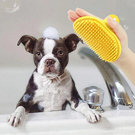 Brosse pour chien | PelageConfort