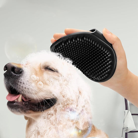 Brosse pour chien | PelageConfort