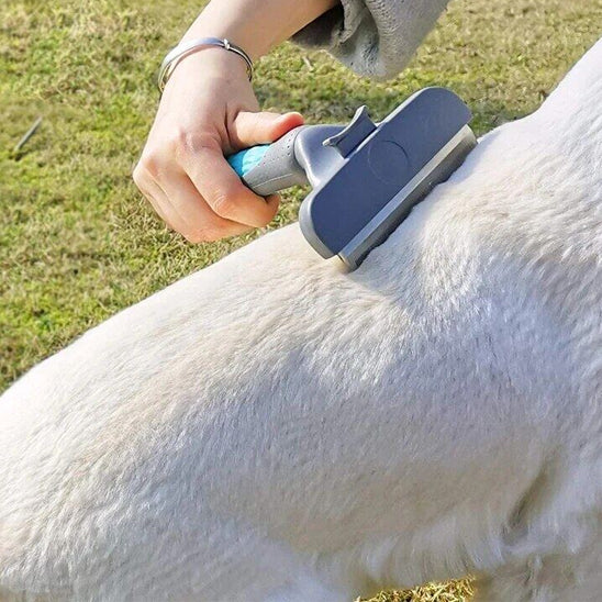 Brosse pour chien poil long bleu extérieur