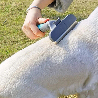 Brosse pour chien poil long bleu extérieur