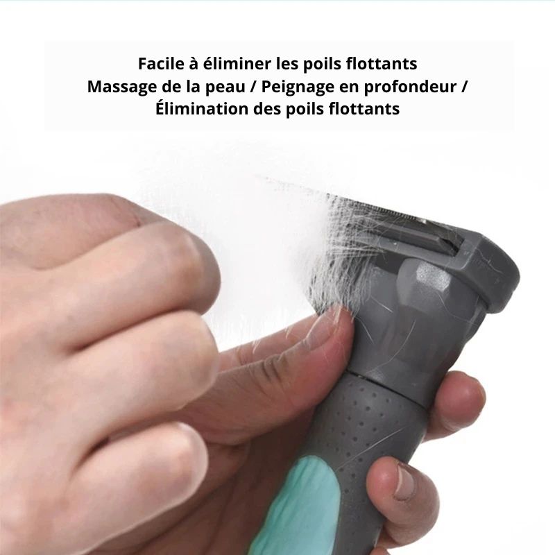 Brosse pour chien poil long nettoie