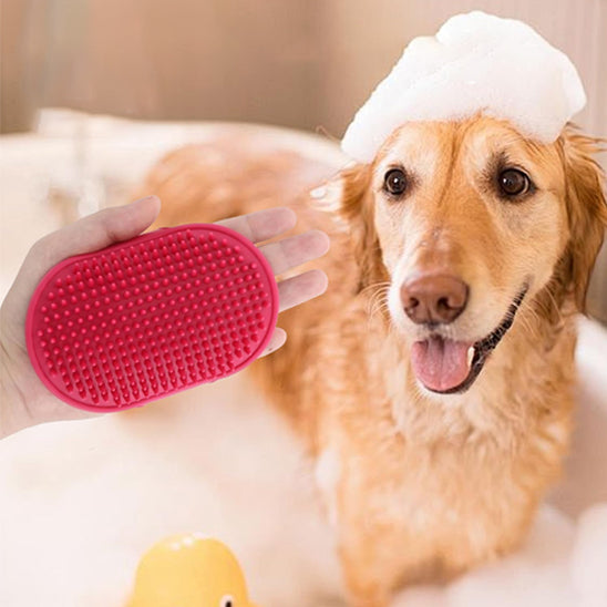 Brosse pour chien | PelageConfort