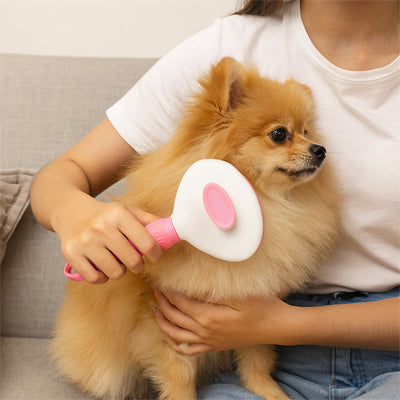 Brosse chien | Pack Toilettage 7 Accessoires