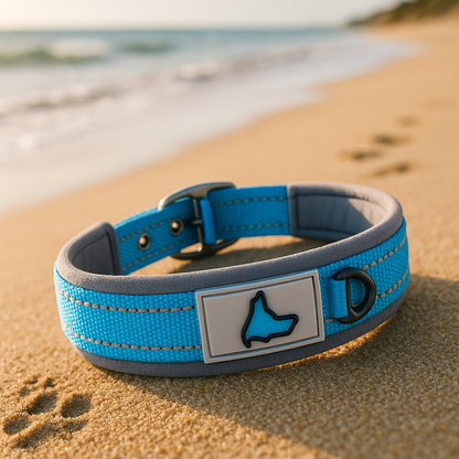 Collier chien bleu ciel