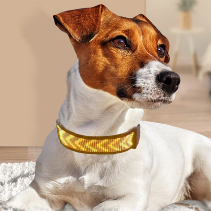 Collier lumineux chien | LED-Safety