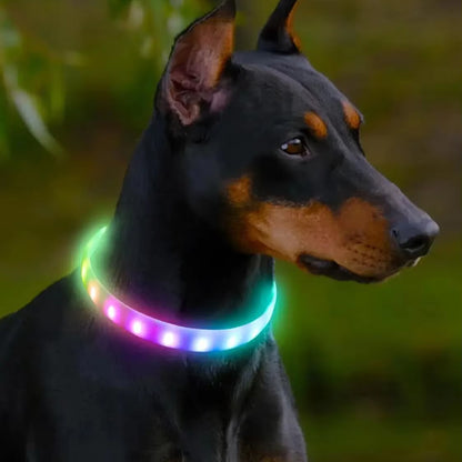 Collier lumineux chien | Visio+
