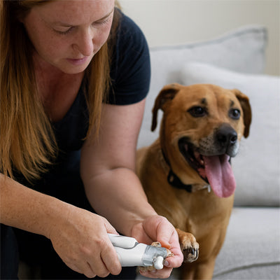 Coupe griffe Chien facile doux