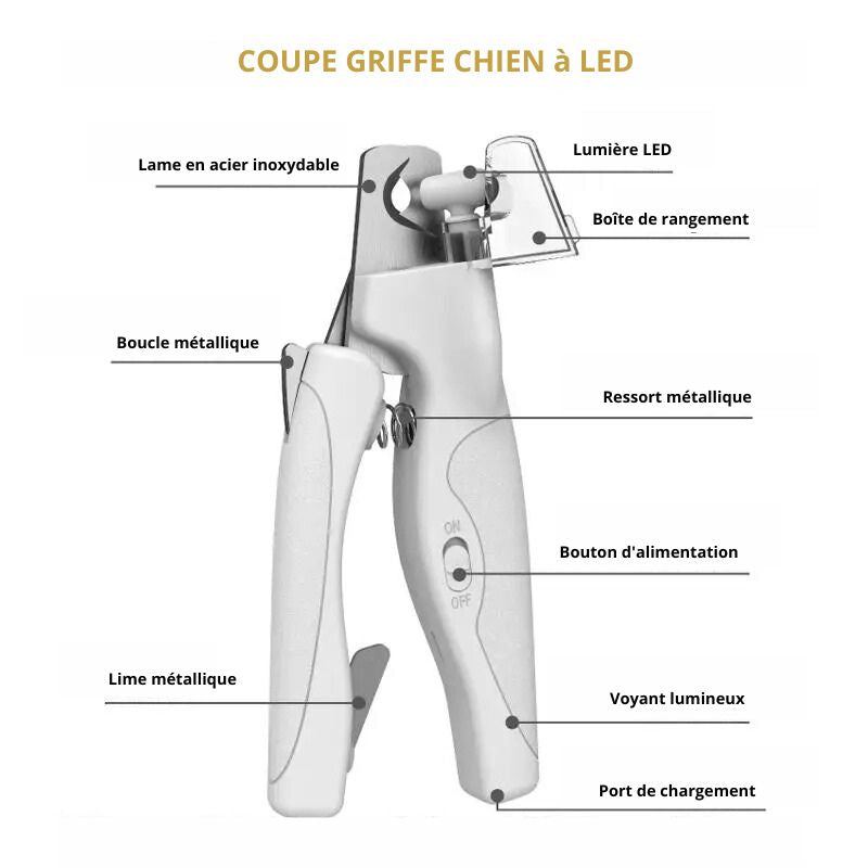 Coupe griffe chien détail