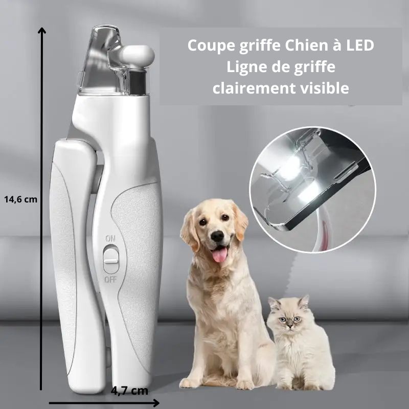 Coupe griffe chien taille
