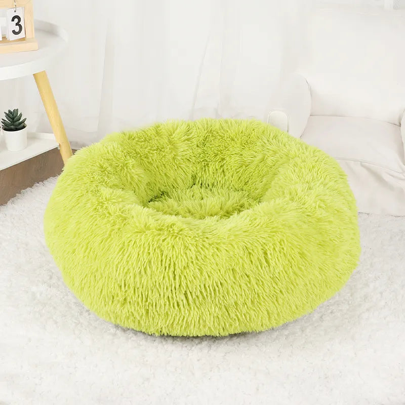 Coussin-chien-Vert