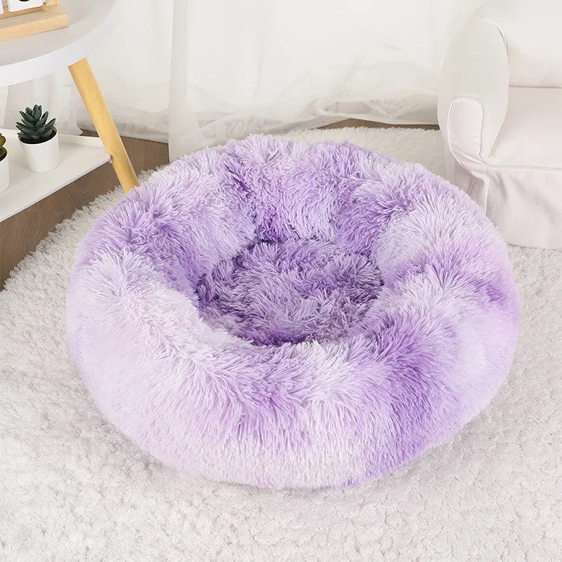 Coussin-chien-Violet