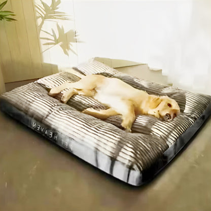Matelas pour chien