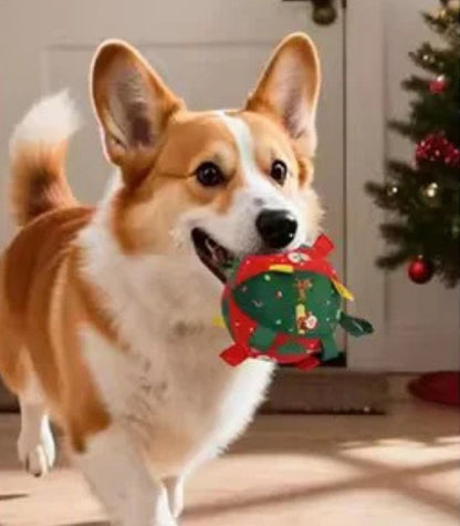 Balle de noel pour chien | Festive