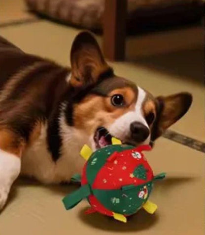 Balle de noel pour chien | Festive