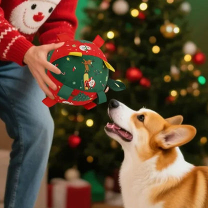 Balle de noel pour chien | Festive