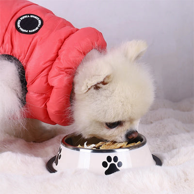 Gamelle Chien blanc intérieur