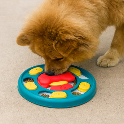 Gamelle anto glouton Chien bleu manger