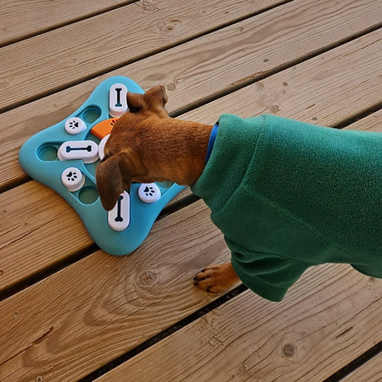 Gamelle anti glouton Chien extéreur