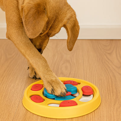 Gamelle anti glouton Chien jaune jeu