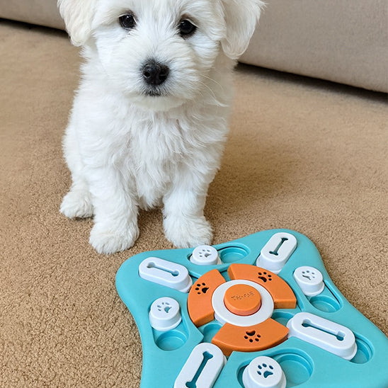 Gamelle anti glouton Chien mignon